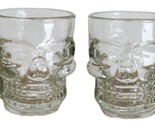 Set of 4 Clear Glass Gothic Skeleton Skull Face Liquor Shot Glasses Shoo... - £14.33 GBP