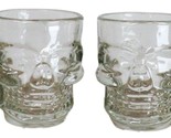 Set of 4 Clear Glass Gothic Skeleton Skull Face Liquor Shot Glasses Shoo... - $17.99