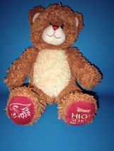 Disney High School Musical Build A Bear Teddy Bear 15&quot; Stuffed Animal Plush - £7.31 GBP