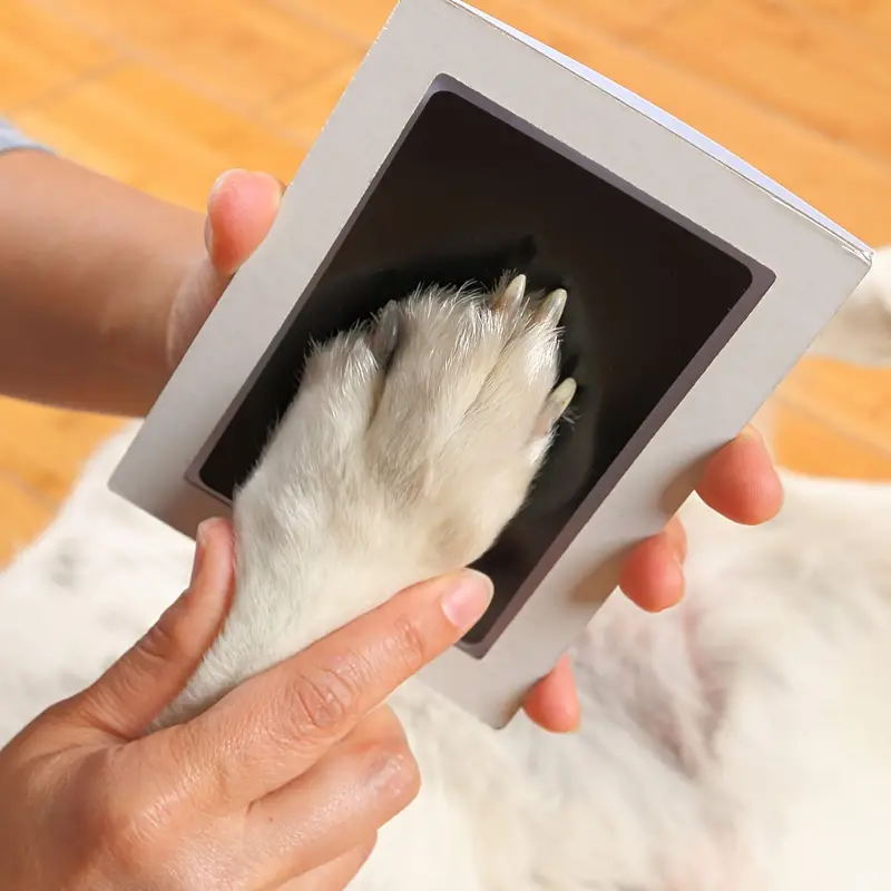 Pet Paw Print Kit  - $12.00