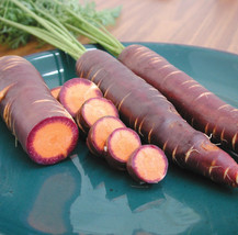 Berynita Store 100  Purple Dragon Carrot Seeds Heirloom Organic  - £8.49 GBP