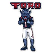 Houston Texans Pennant Shape Cut Mascot Design - $30.99