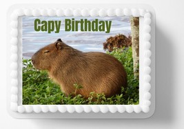Capybara Capy Birthday  Edible Image Edible Cake Topper Frosting Sheet S... - $14.18+