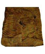 A710-04 NUTMEG Concrete Stain Concentrate 4 oz. = 20 oz. Water Based Stain - $19.99