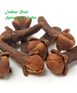 Cloves Syzygium aromaticum 100% REAL AYURVEDIC PURE &amp; NATURAL(Pack of 25... - €20,30 EUR