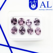 8 pcs Spinel - 3.25 ct - Antwerp Laboratory for Gemstone Testing (ALGT) - $600.00