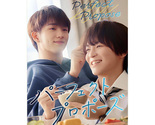 Perfect Propose (2024) BL Japanese Drama - £40.33 GBP