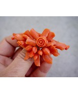 Victorian 14K Yellow Gold Carved Mediterranean Coral Rose Fruits Leaves ... - $683.83 CAD