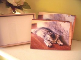 New Set 15 Sleeping Cat Note Cards Crown Point Graphics Blank Tabby Kitten Kitty - £11.83 GBP