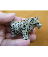 Y-COW-714) spotted Holstein COW dairy gemstone figurine CARVING stone lo... - $333.19 MXN