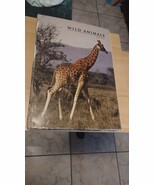 Wild Animals  Extra Large Hardcover Book Patrick Hook  24&quot; X 17&quot; Fair Co... - $45.25 CAD