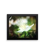 Framed Art Flower Poster - Ready To Hang Picture - Wall Decor - $36.43 CAD