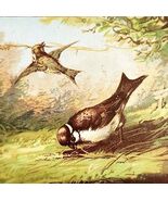 C1910s Trade Card Lark Birds Making A Nest Landscape Lithograph Ephemera... - $368.75 MXN