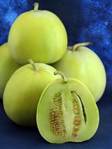 40 Seeds Heirloom Yellow Green Sticky Sweet Melon - $14.99