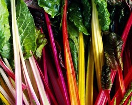 Rainbow Swiss Chard Seeds Organic Swiss Chard Seeds Swiss Chard Garden - $6.98