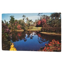 Postcard Blossom Time Cypress Gardens Florida Chrome Unposted - £6.47 GBP