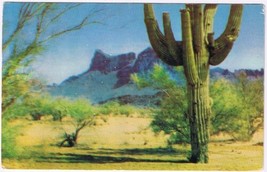 Postcard Picacho Peak Between Phoenix &amp; Tucson Arizona - £3.09 GBP