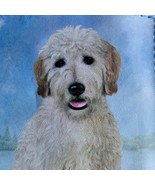 Goldendoodle Tote Foldable to Pouch Bag Shopper Beach Handbag Puppy Folding - $20.29 CAD