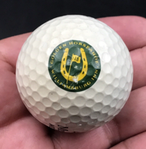 Golden Horseshoe Golf Williamsburg Inn Virginia Souvenir Golf Ball Maxfli MD-100 - £7.41 GBP