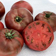 USA Seller Carbon Tomato Seeds Fast Shipping - £9.55 GBP