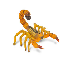 CollectA Fat Tailed Scorpion Figure (Medium) - £15.28 GBP