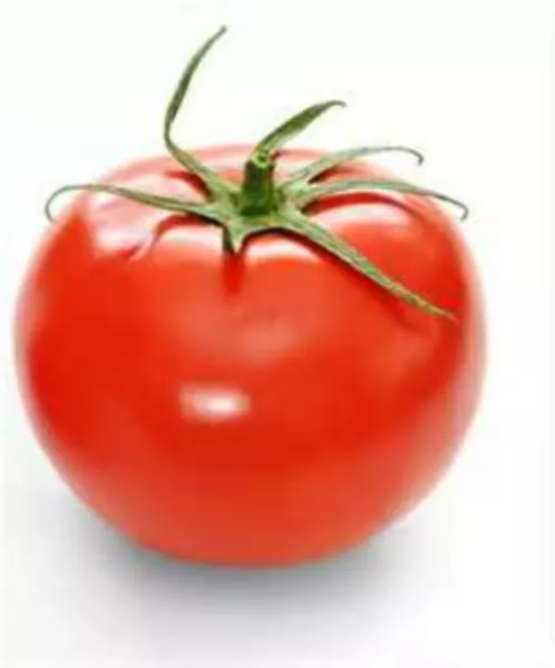 USA Seller FreshWaltzer Tomato For Over 300 Types Of Tomatoes - £10.20 GBP