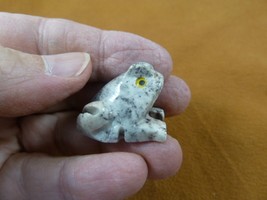 (y-fro-53) gray baby FROG carving stone gemstone SOAPSTONE love little f... - £6.71 GBP