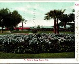 A Park In Long Beach California CA 1906 UDB Postcard C7 - £2.10 GBP