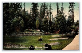 Scene In Point Defiance Park Tacoma Washington WA UNP DB Postcard M20 - £3.87 GBP