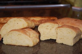 Gluten Free Sourdough Bread Starter Yeast San Francisco Sammy Plus Recipes Fresh - £7.17 GBP