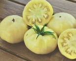 Fresh 50 Seeds White Tomesol Tomato Vegetable Fast Shiping - $6.90