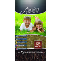 Americas Favorite 861300 50 lbs KY-31 Tall Fescue Purity 95 Percent Seed - £168.65 GBP