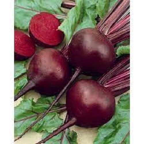 Premium Detroit Red Beets - Fresh Organic, Heirloom Seeds - Most Popular... - $3.46 CAD