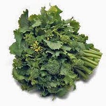 Broccoli Raab Seeds, Rapini, Heirloom, Non GMO, 50 Seeds, Delicious a Culinary D - £3.35 GBP