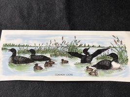 M95 - Ceramic Waterslide Vintage Decal - 1 Common Loons Mug Wrap - 8.75&quot; - £2.75 GBP