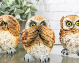 Wisdom Of The Forest See Hear Speak No Evil Great Horned Owls Mini Figur... - $17.99