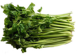 800 Seeds of Chinese Cutting Celery Vegetable Seeds USA Grown - £20.48 GBP