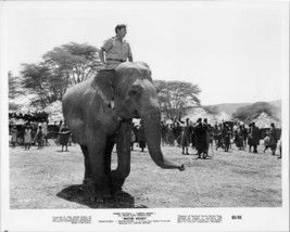 Mister Moses 1965 original 8x10 inch photo Robert mitchum on elephant  - £20.03 GBP