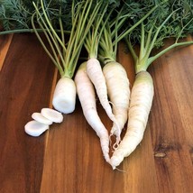 Snow White Carrot Seeds, Beta-Carotene, Colorful, NON-GMO, Free Shipping - £1.33 GBP+