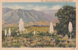 Yucca in Bloom Southern California CA 1937 Anaheim to Winfield KS Postcard D16 - £2.39 GBP