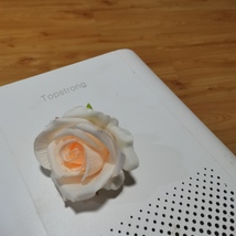 Topstrong air purifying apparatus-Breathe Easy with Topstrong image 4