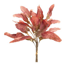 Fall Foliage Bundle (Set of 6) - $1,258.27 MXN