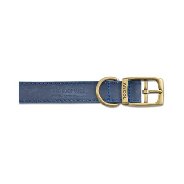 Timberwolf Leather Collar Blue 50cm/20 Sz 5  - $18.00