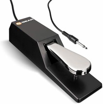 M-Audio Sp-2 - Universal Sustain Pedal With Piano Style Action For Midi - $37.99