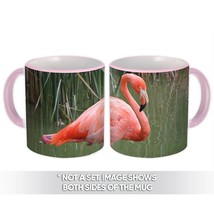 Flamingo : Gift Mug Bird Tropical Nature Animal Florida - £12.43 GBP