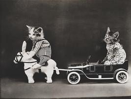 Cats Kittens - Mule Pulling A Broken Down Car - 1914 - Photo Magnet - £9.58 GBP