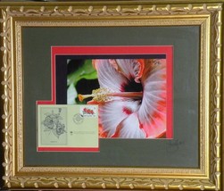 First day of issue cayman islands stamp Hibiscus flower 16X20 - £159.19 GBP