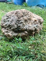 22 Lb + Indiana Geode  Crystals , minerals,fossil   Intact Jewelry Lapidary - £81.07 GBP