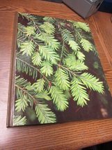 Evergreens, (The Time-Life encyclopedia of gardening) Crockett, James Underwood - £1.57 GBP