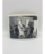 Vintage Photograph Picture Fighting Bull Fighting Cow Costume Great Humo... - $184.71 MXN